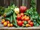 gemuesevielfalt-im-spaetsommer-vegane-rezepte-fuer-den-september