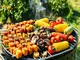 vegan-grillen-die-besten-alternativen-fuer-unbeschwerten-genuss